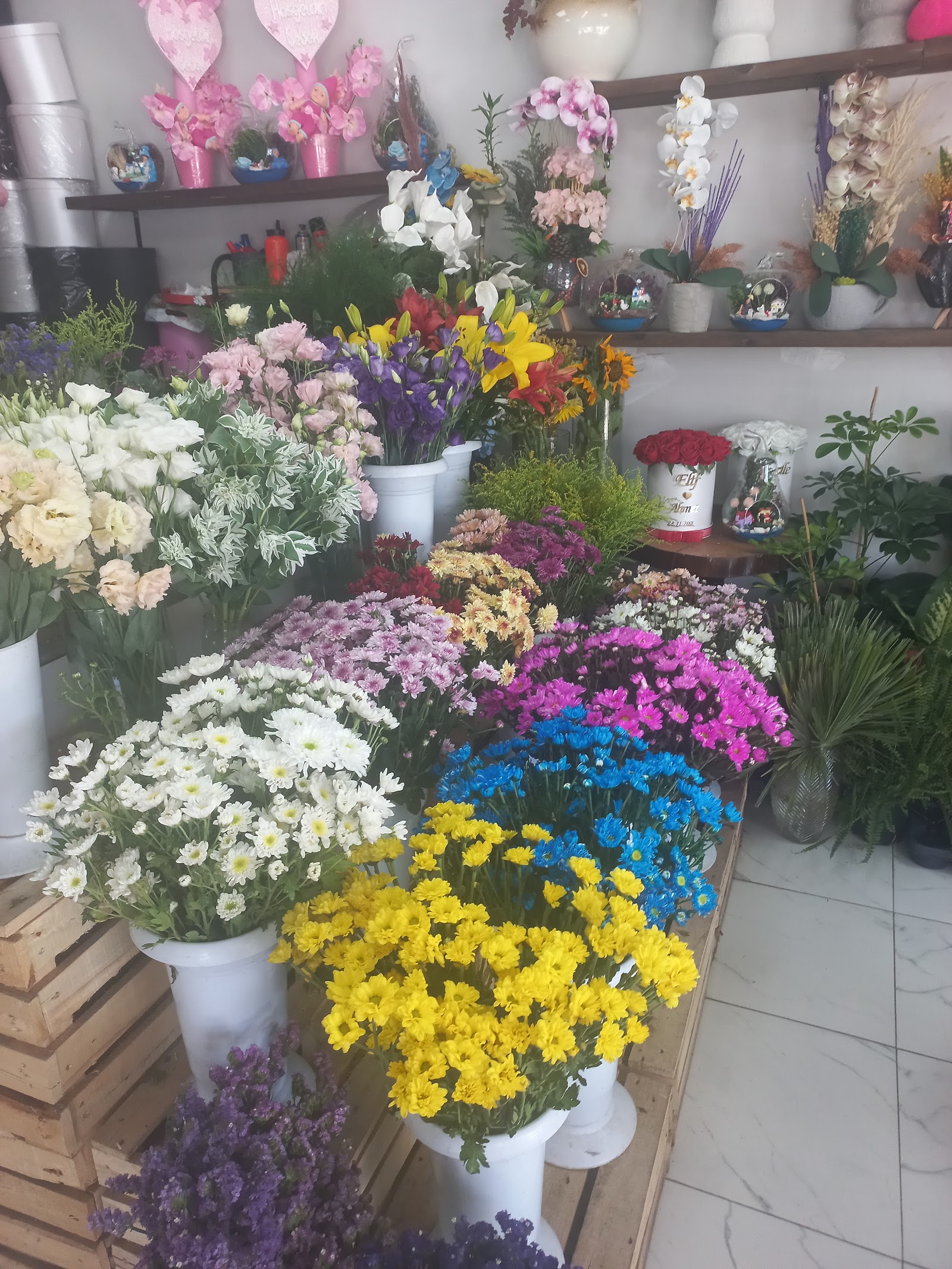 Gardenya Çiçek