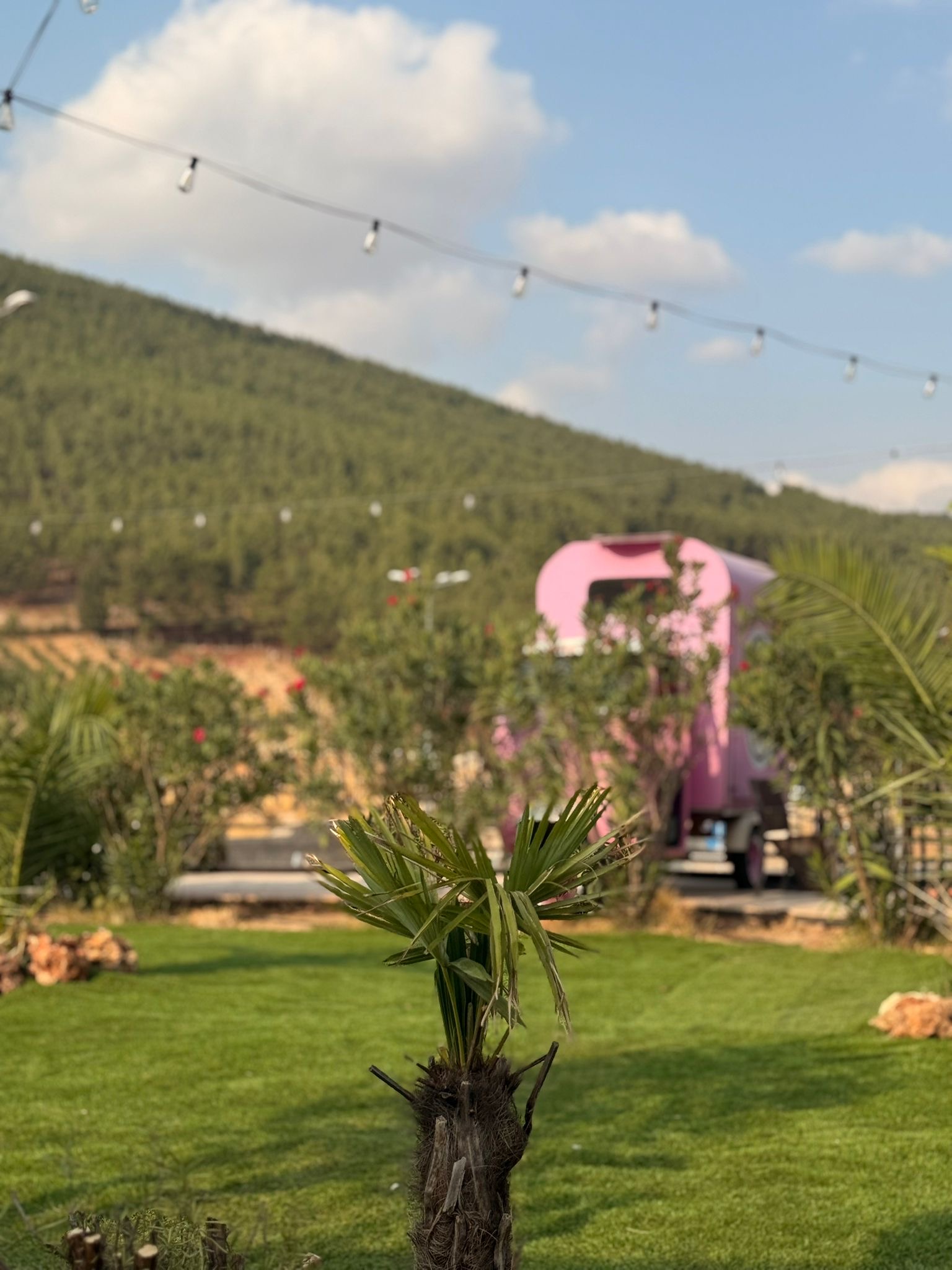 Hilltown Davet Evi