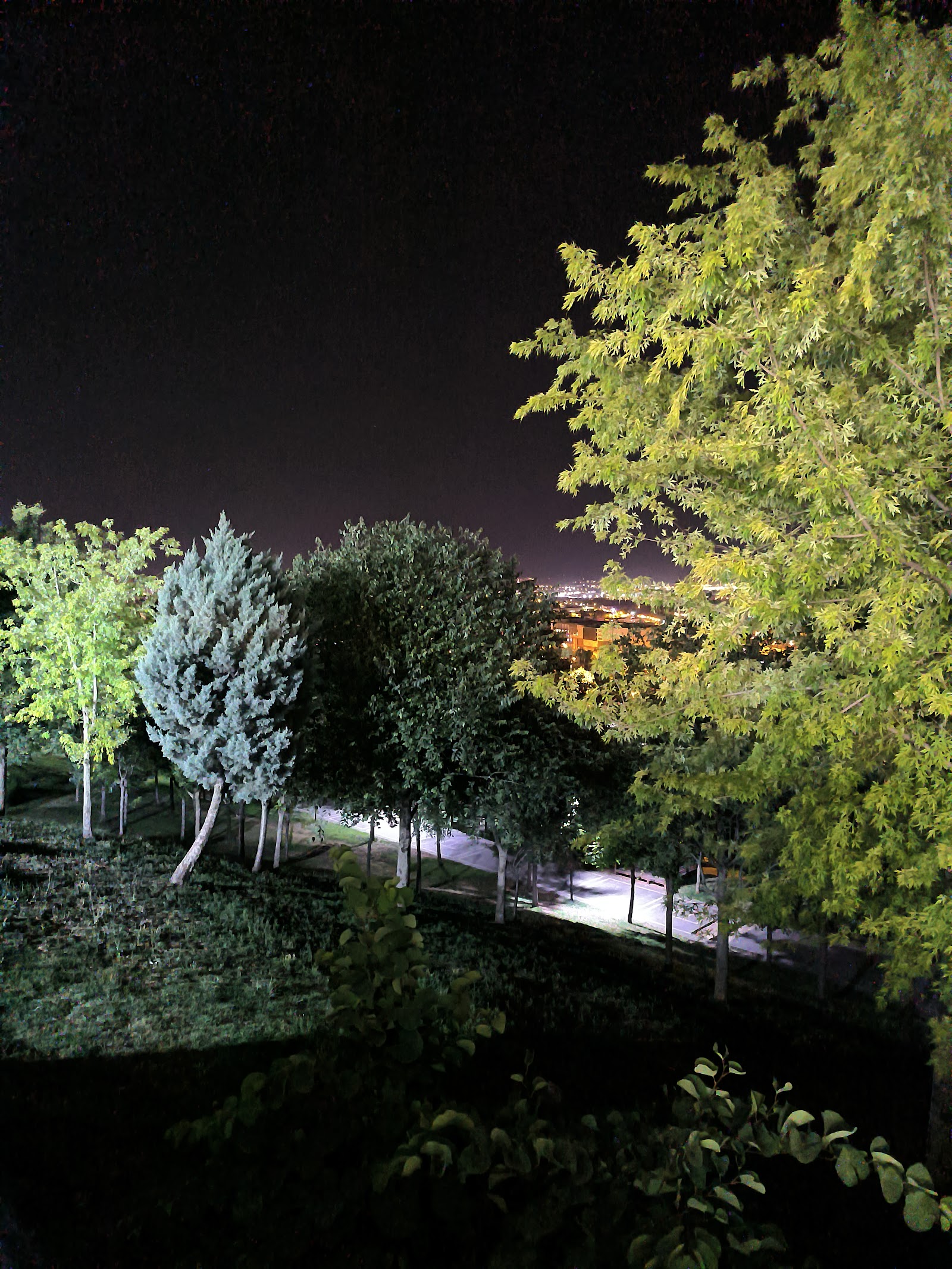 Manzara Park Düğün Salonu — Dulkadiroğlu, Kahramanmaraş kır düğünü mekanı görsel 9