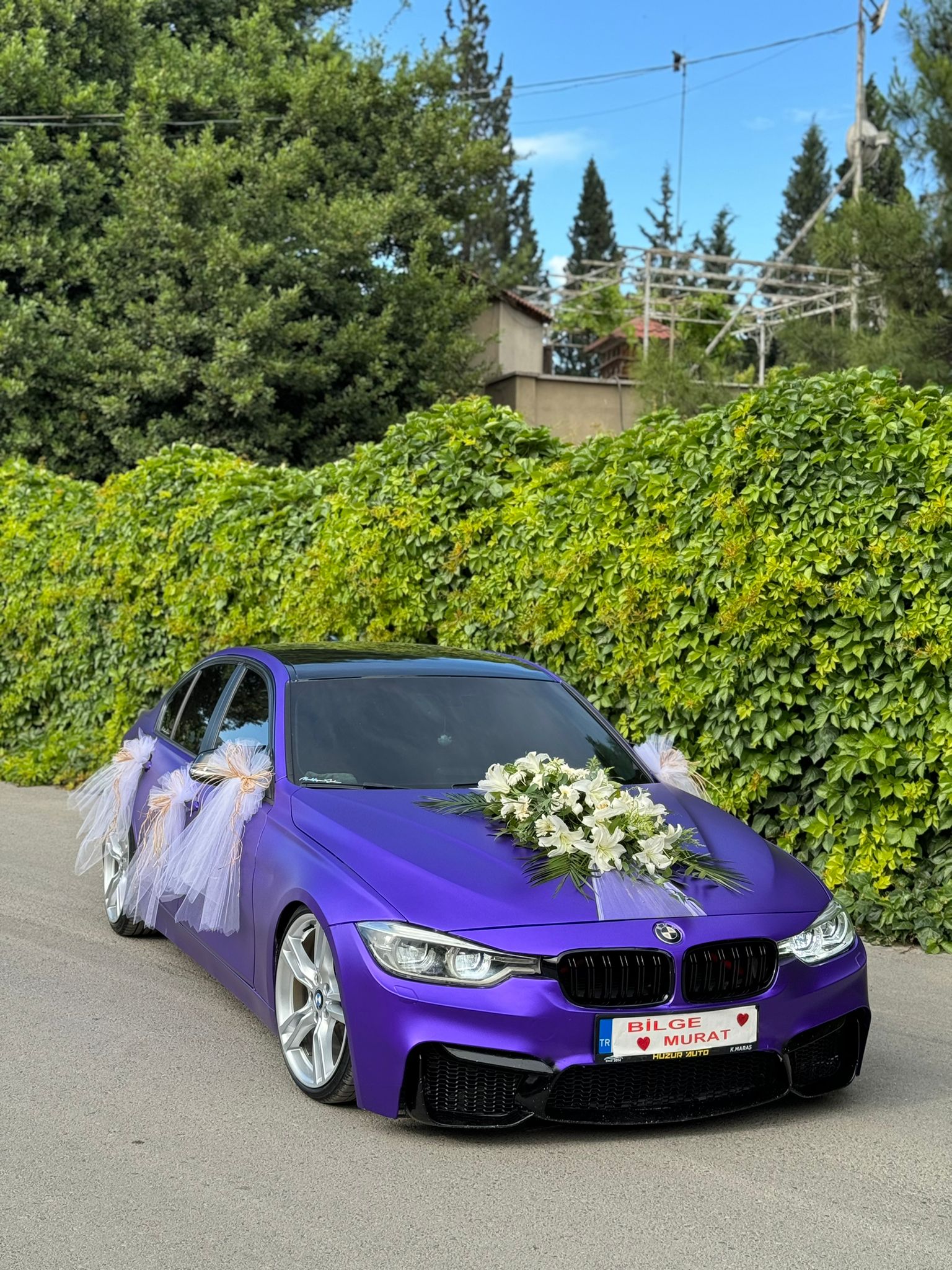 Mavi Çiçekçilik