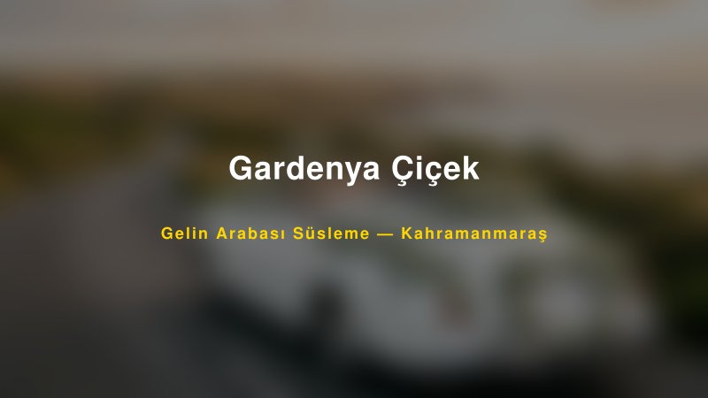 Gardenya Çiçek Kahramanmaraş Gelin Arabası Süsleme